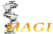magi
